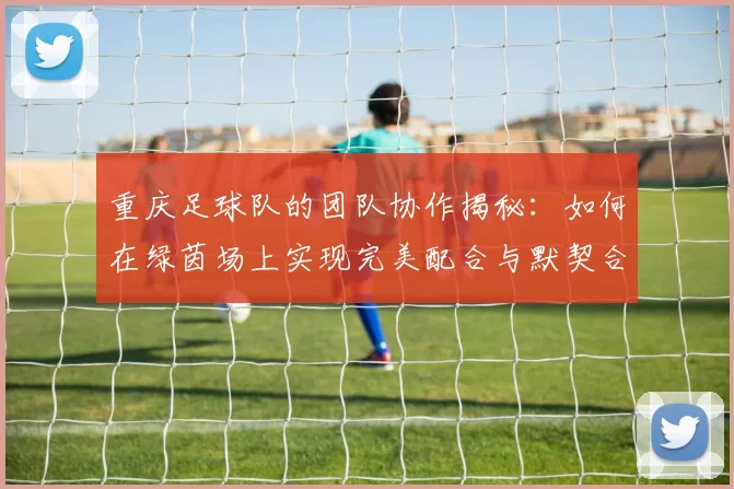 重庆足球队的团队协作揭秘：如何在绿茵场上实现完美配合与默契合作