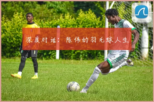 深度对话：陈伟的羽毛球人生