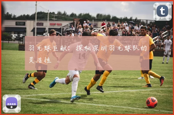羽毛球巨献：探秘深圳羽毛球队的灵活性