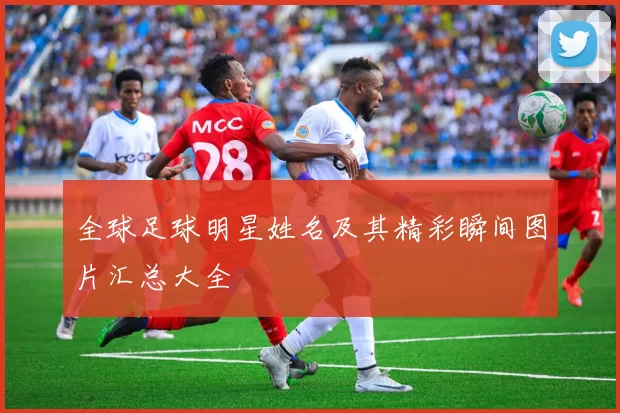 全球足球明星姓名及其精彩瞬间图片汇总大全