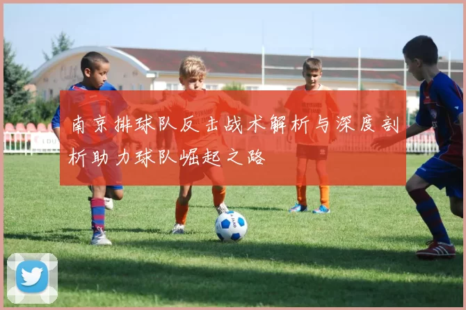 南京排球队反击战术解析与深度剖析助力球队崛起之路