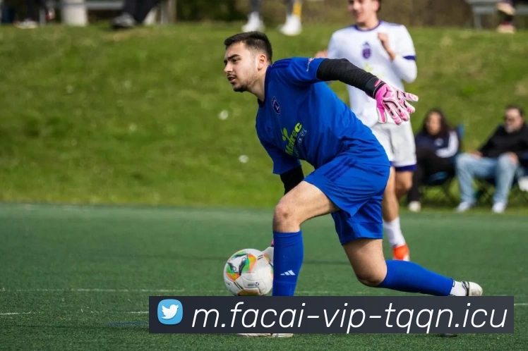 乐鱼体育注册发展历程